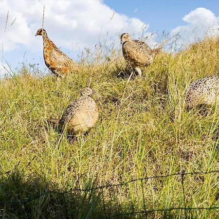 Feriehus Fan028-fano-strandgardsvej-2