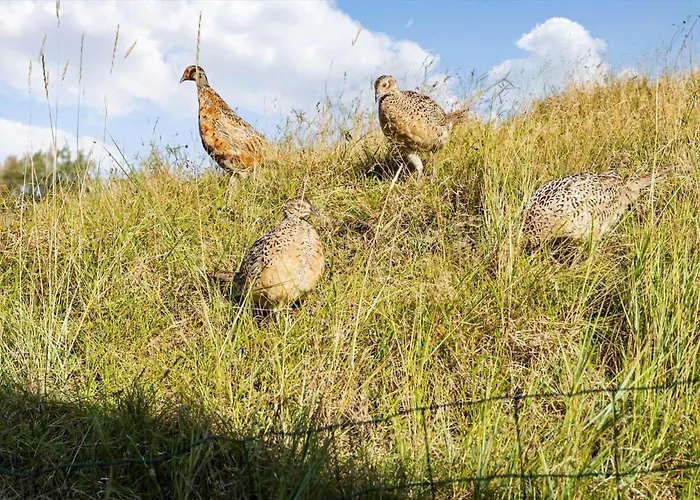 Fan028-fano-strandgardsvej-2 *